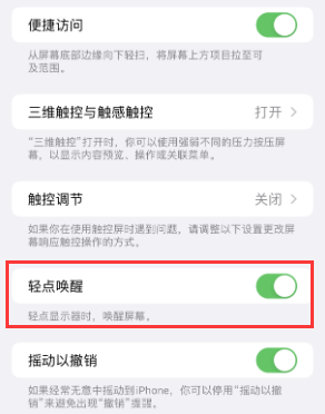 望谟苹果授权维修站分享iPhone轻点无法唤醒怎么办 