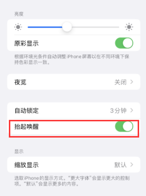 望谟苹果授权维修站分享iPhone轻点无法唤醒怎么办