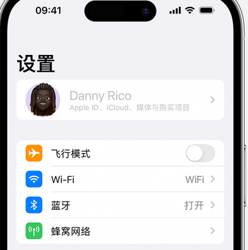 望谟appleID维修服务iPhone设置中Apple ID显示为灰色无法使用 