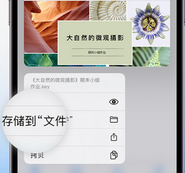 望谟apple维修中心分享iPhone文件应用中存储和找到下载文件