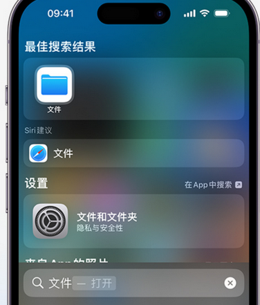 望谟apple维修中心分享iPhone文件应用中存储和找到下载文件 