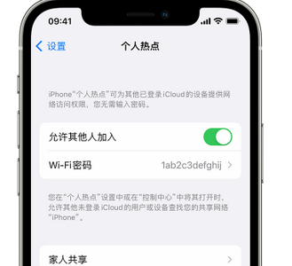 望谟apple服务站点分享iPhone上个人热点丢失了怎么办 