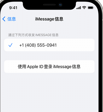 望谟apple维修iPhone上无法正常发送iMessage信息 