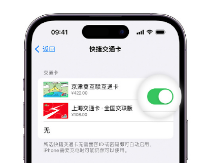 望谟apple维修点分享iPhone上更换Apple Pay快捷交通卡手绘卡面 