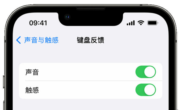 望谟苹果手机维修分享iPhone 14触感键盘使用方法 