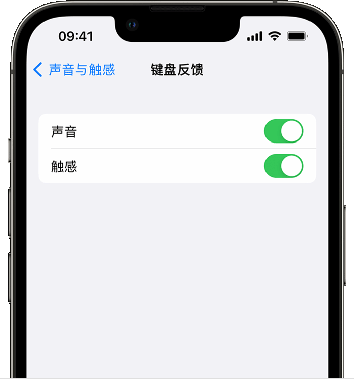 望谟苹果14维修店分享如何在 iPhone 14 机型中使用触感键盘 