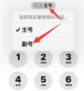 望谟苹果14维修店分享iPhone 14 Pro Max使用副卡打电话的方法 