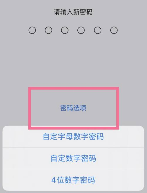 望谟苹果14维修分享iPhone 14plus设置密码的方法 