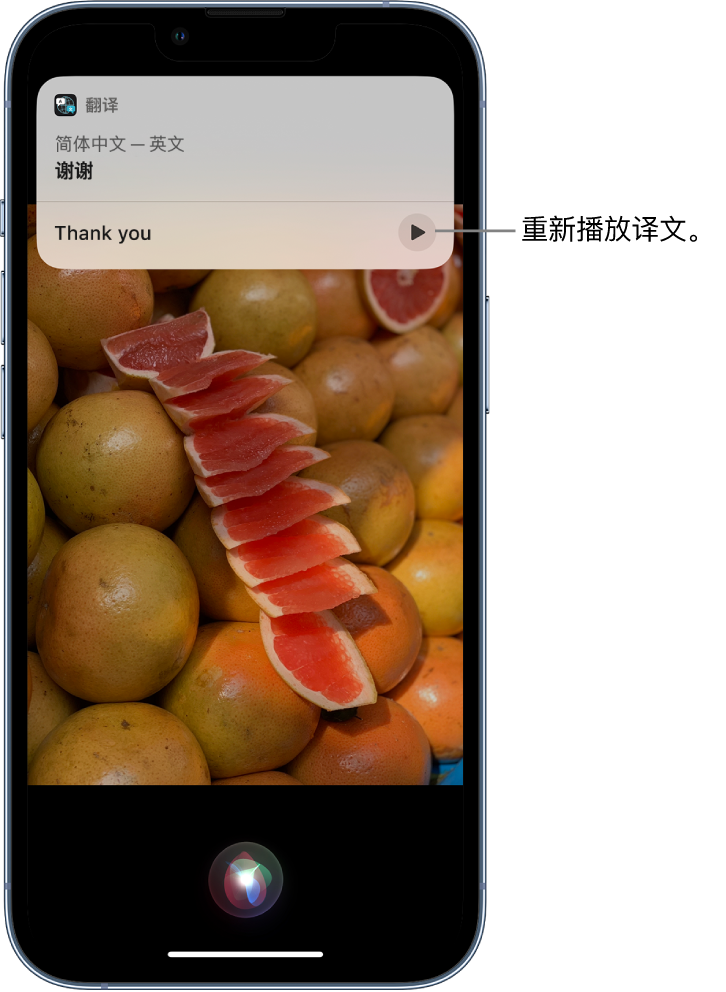 望谟苹果14维修分享 iPhone 14 机型中使用 Siri：了解 Siri 能帮你做什么 