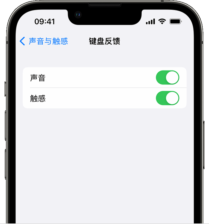 望谟苹果14维修分享iPhone 14 系列机型如何开启键盘声音或触感反馈 