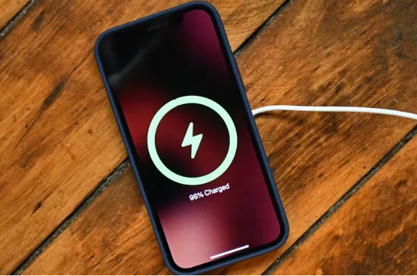 望谟苹果手机维修分享iPhone如何正确充电 