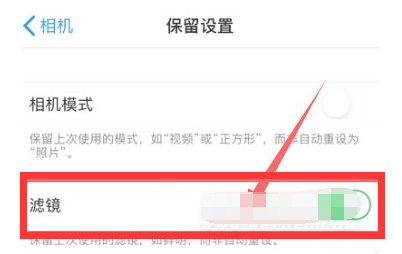 望谟苹果13维修分享iPhone13拍照有绿点是怎么回事 
