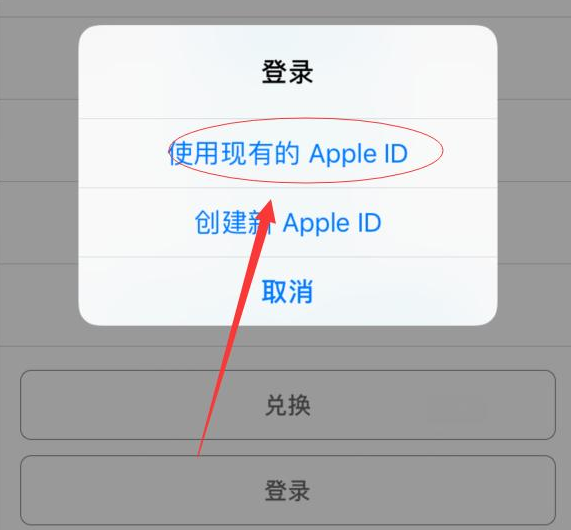 望谟苹果手机维修分享两台iPhone设备可以同时登录一个Apple ID吗 