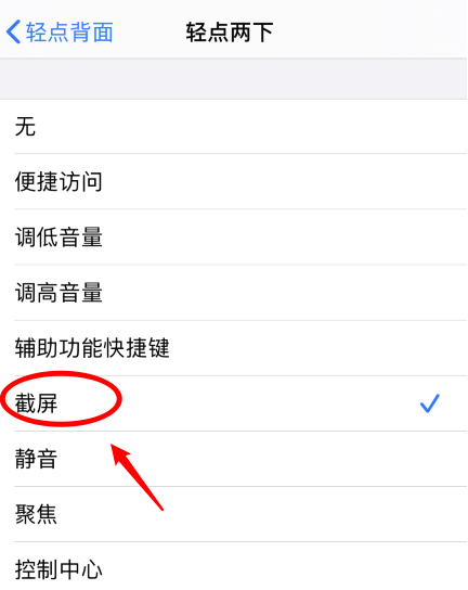 望谟苹果手机维修分享iPhone12如何启用双击截屏 