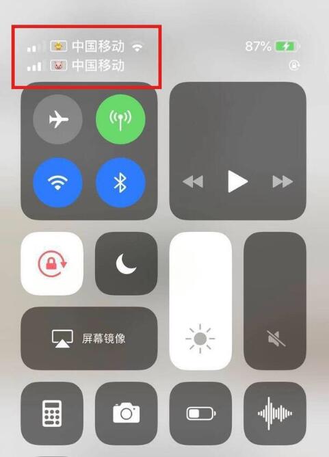 望谟苹果手机维修分享为 iPhone 12 双卡设置标签 